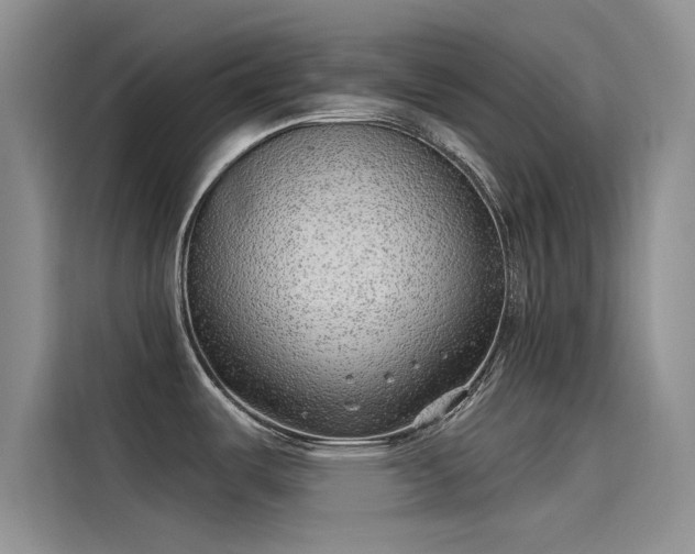 X0000115231487200911061117