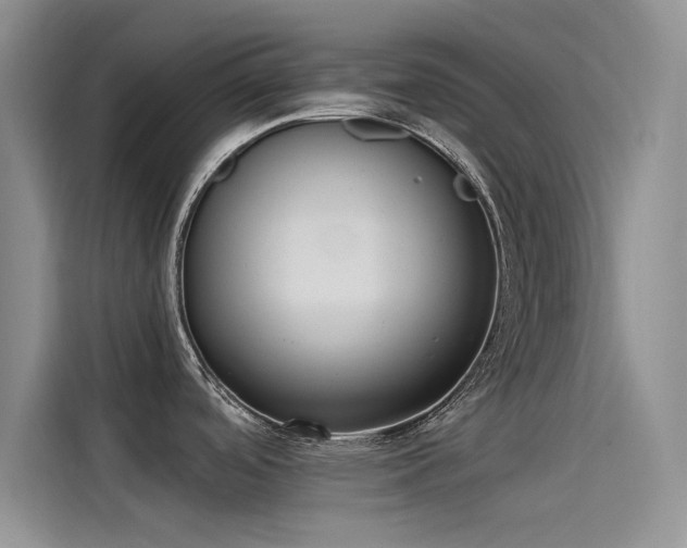 X0000115231488200911061117