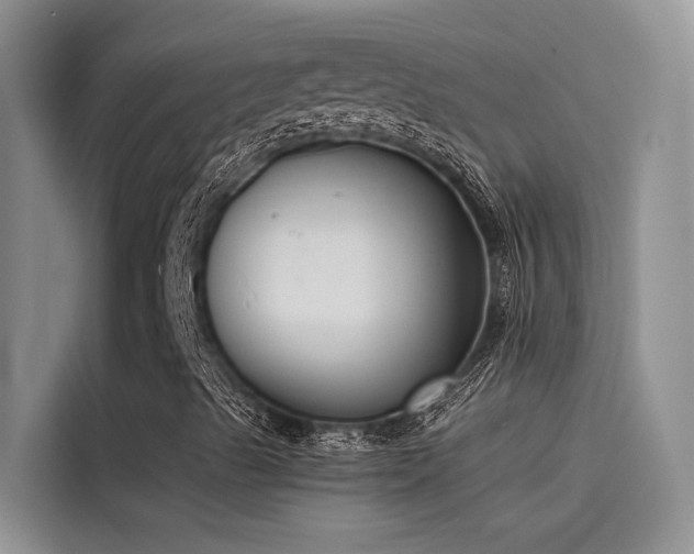 X0000115231489200911061117