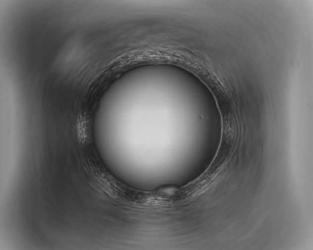 X0000115231490200911061117