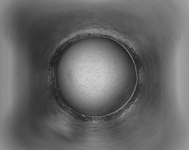 X0000115231494200911061117