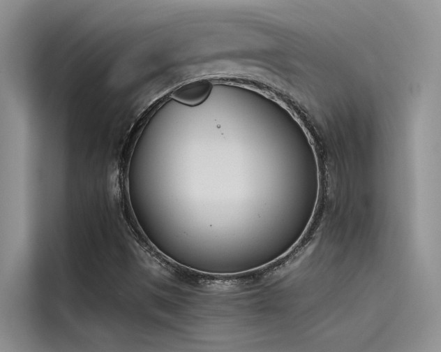 X0000115231497200911061117