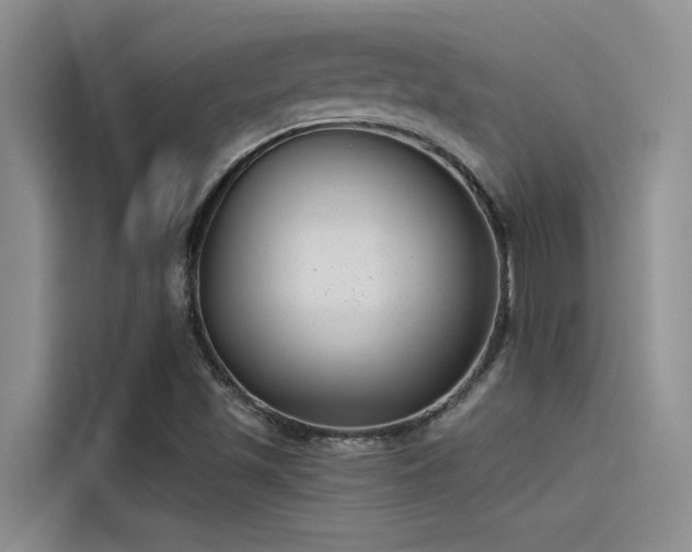 X0000115231501200911061117