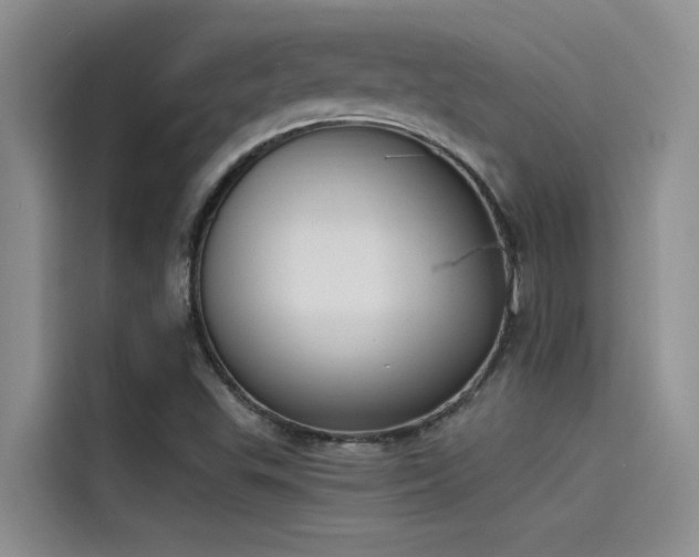 X0000115231503200911061117