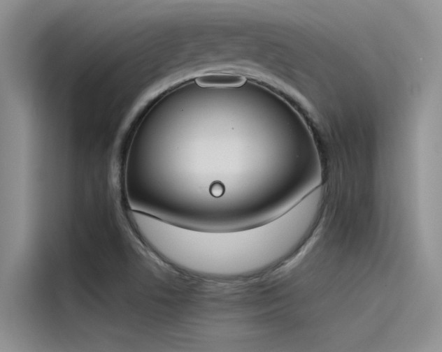 X0000115231506200911061117