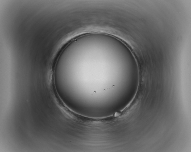 X0000115231507200911061117