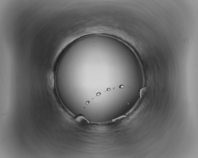 X0000115231509200911061117