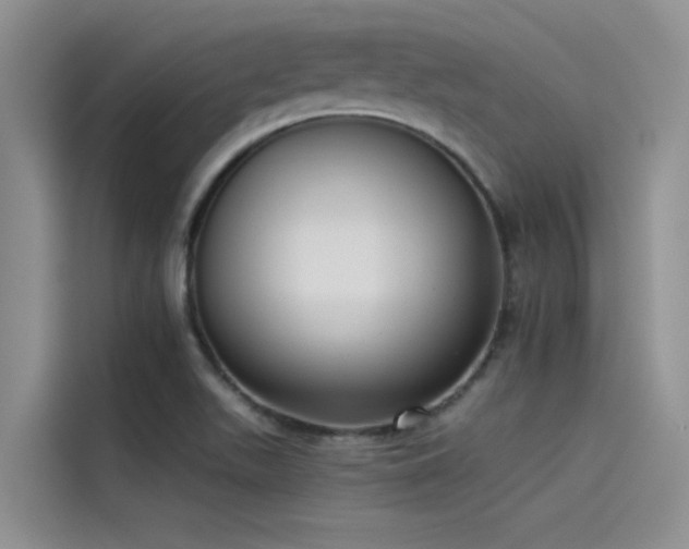 X0000115231511200911061117