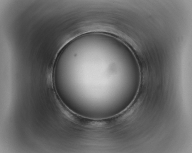 X0000115231513200911061117