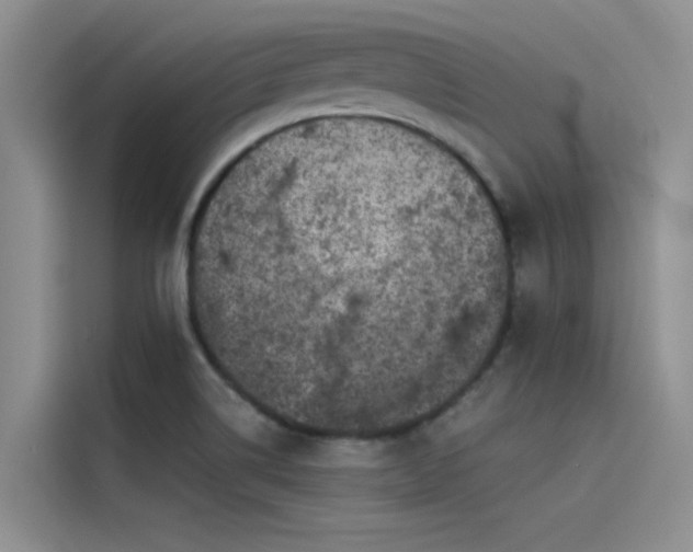 X0000115231514200911061117