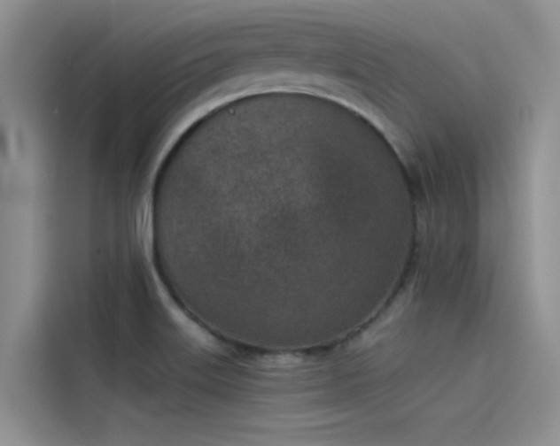 X0000115231515200911061117