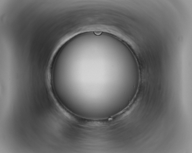 X0000115231517200911061117