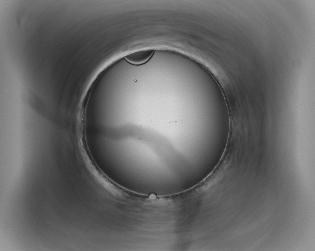 X0000115231526200911061117