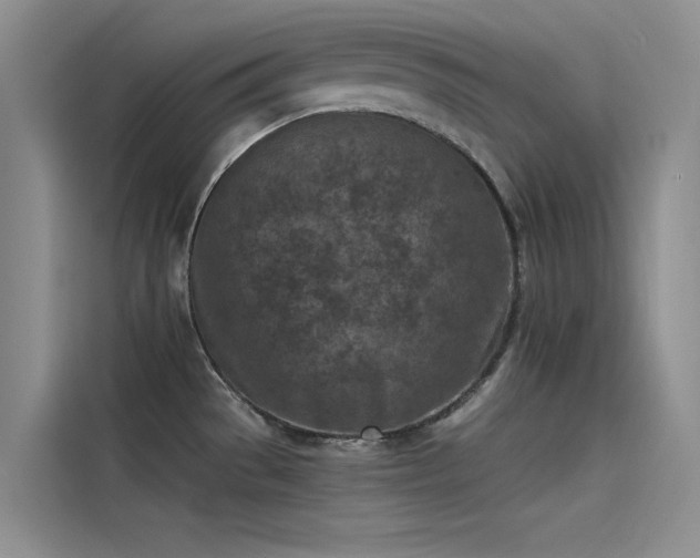 X0000115231529200911061117