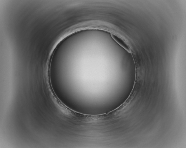 X0000115231530200911061117