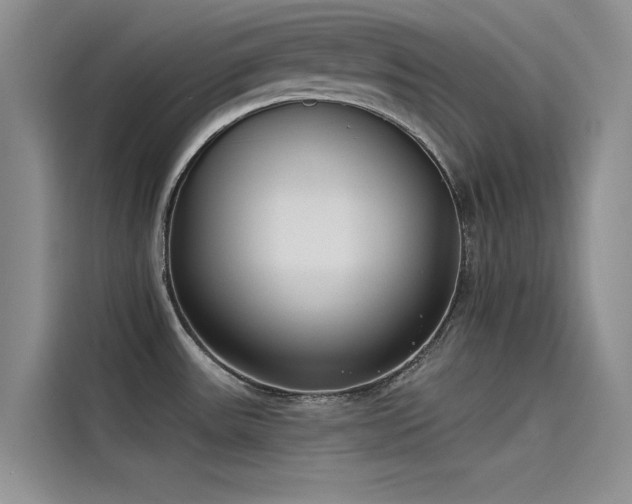 X0000115231531200911061117