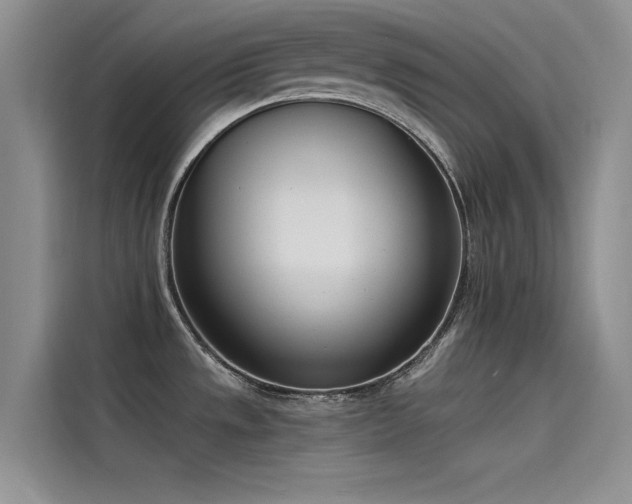 X0000115231533200911061117