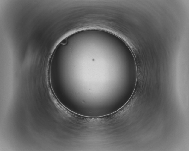X0000115231534200911061117