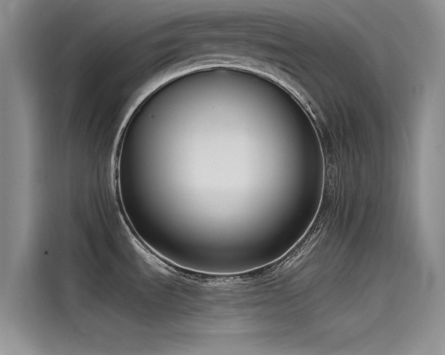 X0000115231535200911061117