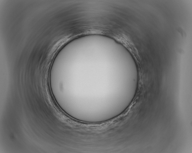 X0000115230001200911131653