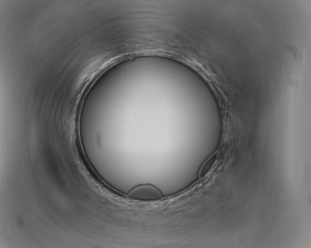 X0000115230002200911131653