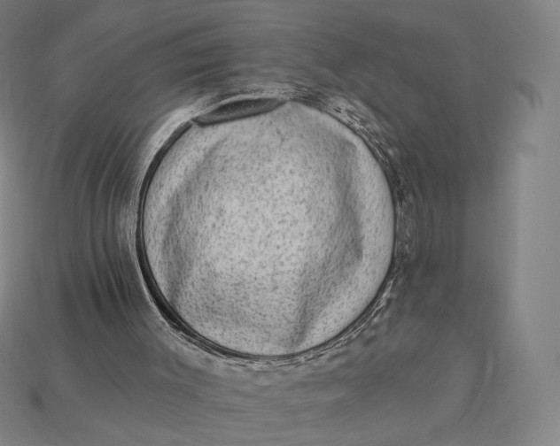 X0000115230003200911131653