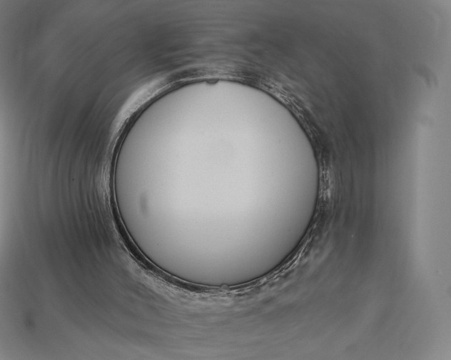 X0000115230004200911131653