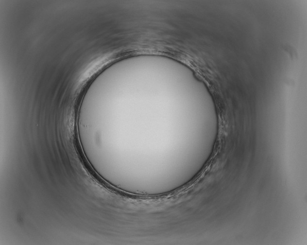 X0000115230005200911131653