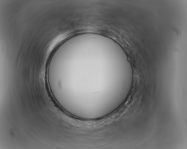 X0000115230006200911131653