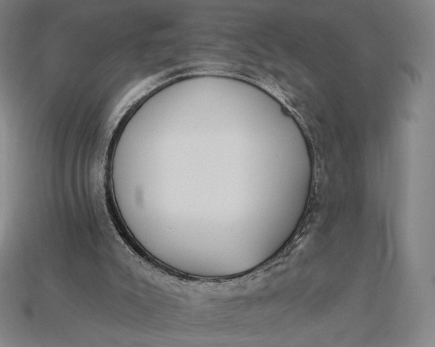 X0000115230007200911131653