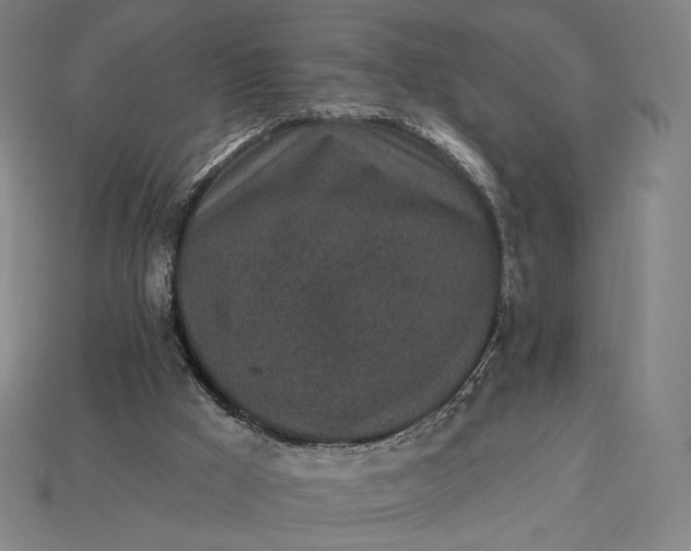 X0000115230009200911131653