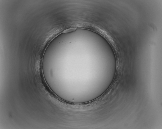 X0000115230010200911131653