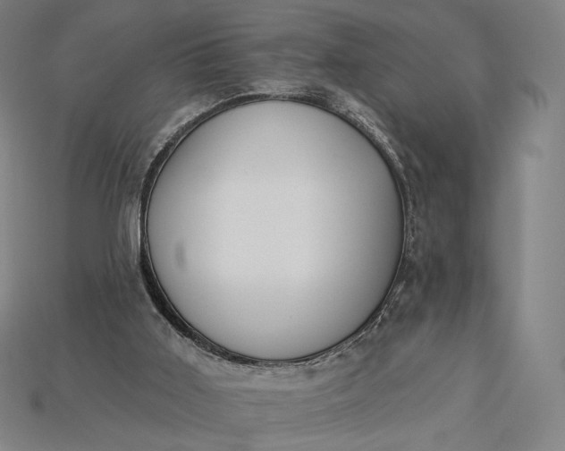 X0000115230011200911131653