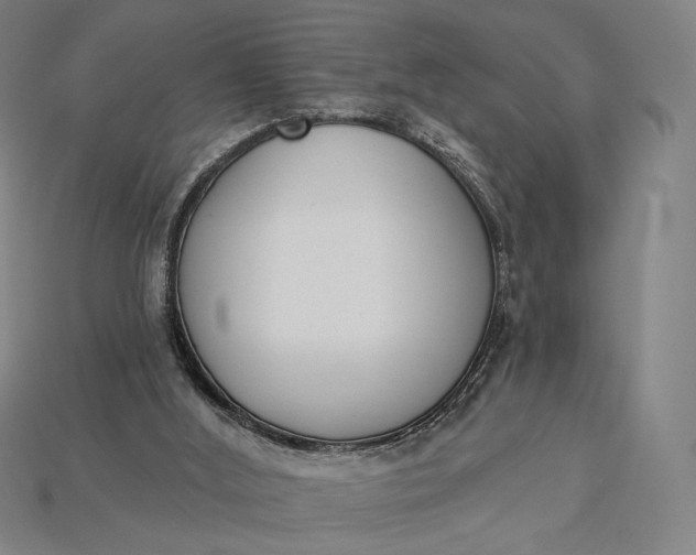 X0000115230012200911131653