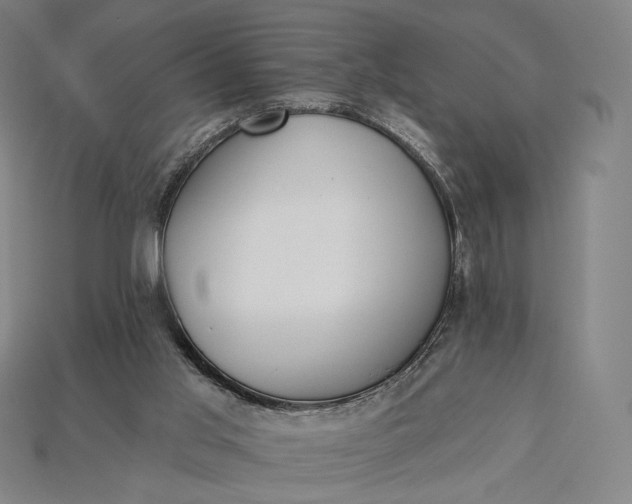 X0000115230013200911131653