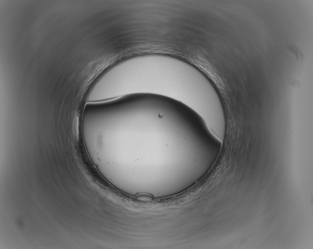 X0000115230014200911131653