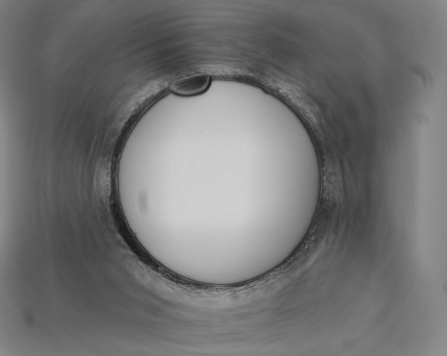 X0000115230015200911131653