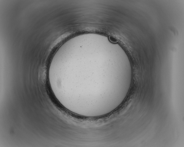 X0000115230016200911131653