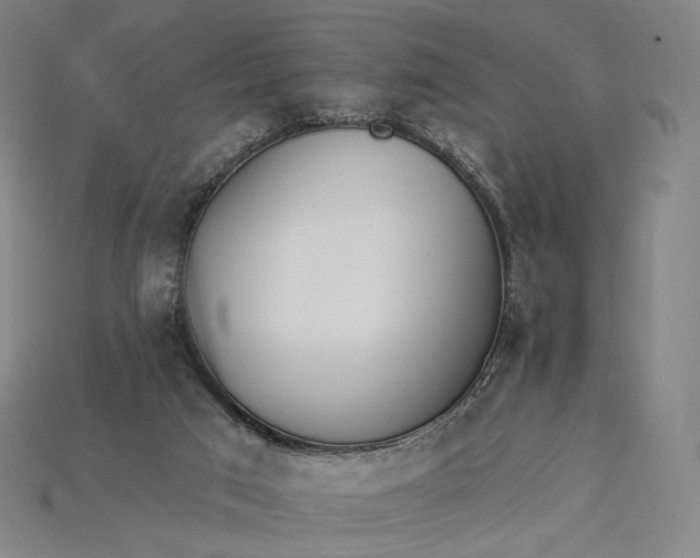 X0000115230017200911131653