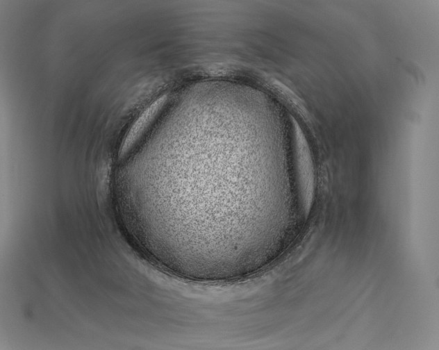 X0000115230018200911131653