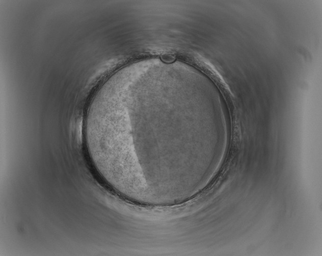 X0000115230019200911131653