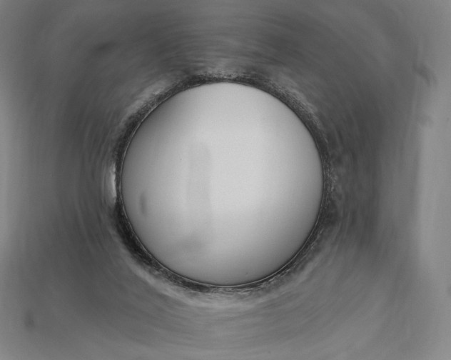 X0000115230020200911131653