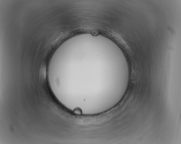 X0000115230021200911131653