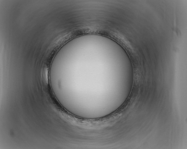 X0000115230022200911131653