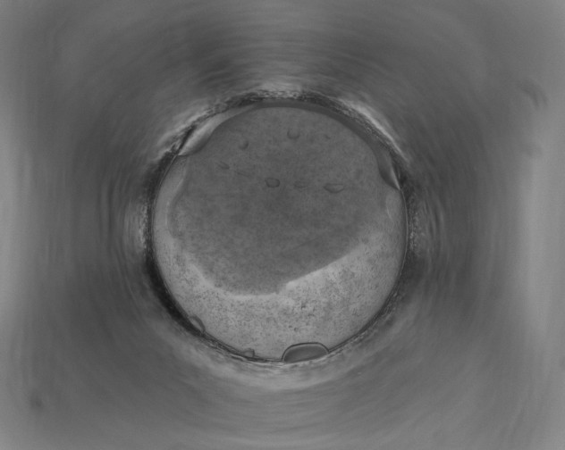 X0000115230023200911131653