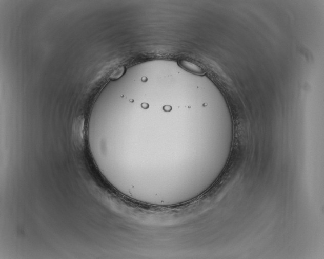 X0000115230024200911131653