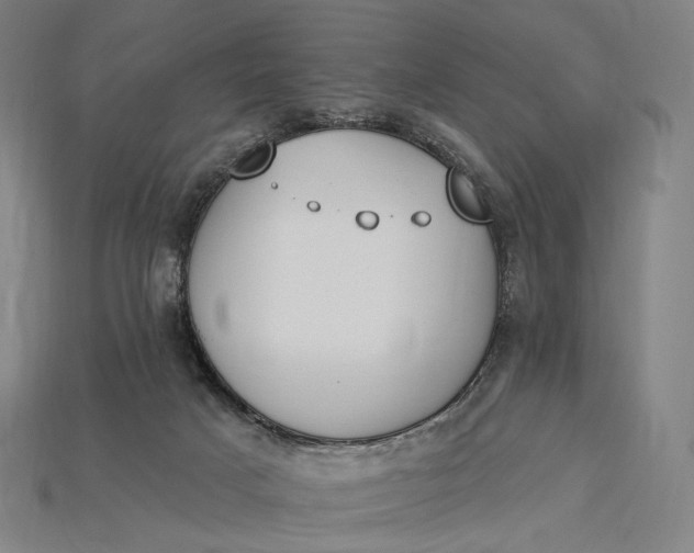 X0000115230025200911131653