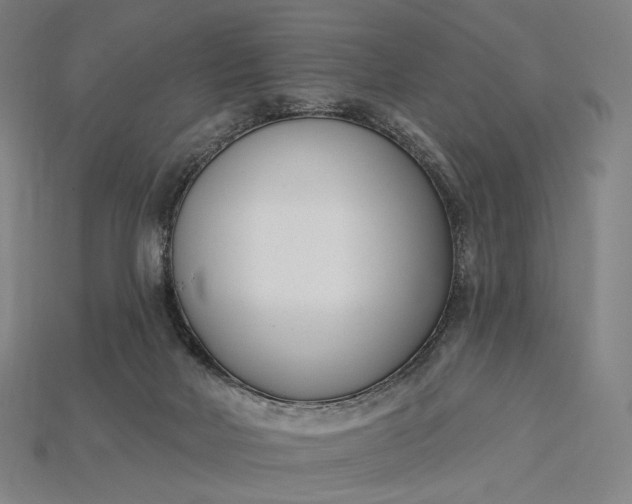 X0000115230026200911131653