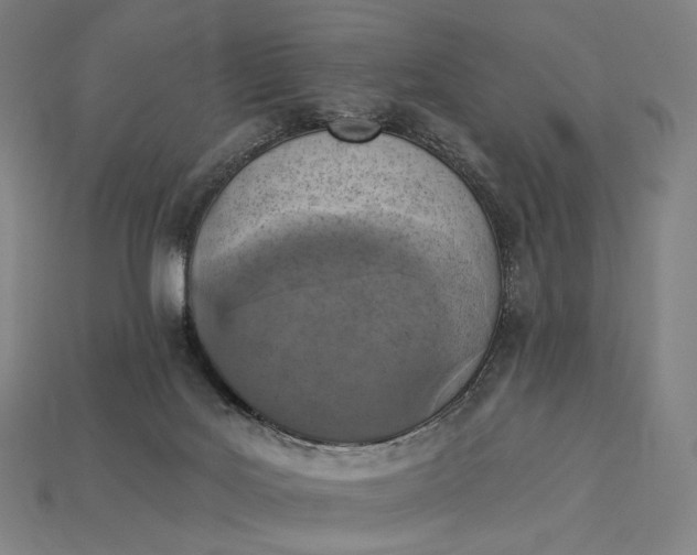 X0000115230027200911131653