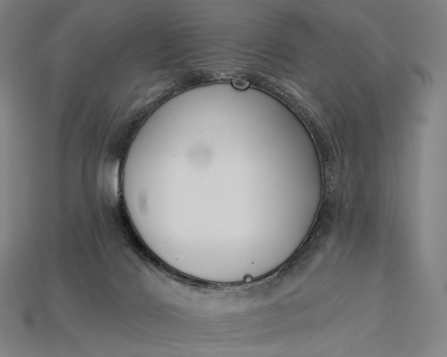 X0000115230028200911131653